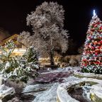 Объект находится в лесу, Отель Лель