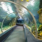 Экскурсия, Гостевой дом Aqua Life