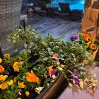 Бассейн с подогревом, Отель Villa Vita