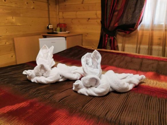 Фотография номера гостиницы Фотон