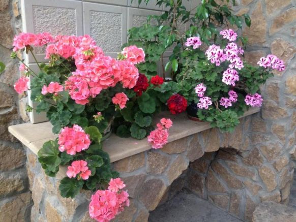 Коттедж на Пчелиной