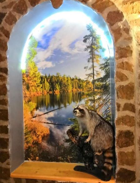 Коттедж на Пчелиной