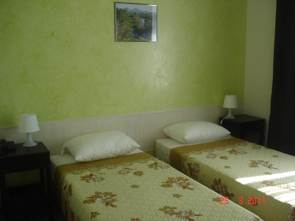 Двухместный (Бюджетный двухместный номер с 2 отдельными кроватями) гостевого дома Плотниковых, Таганрог