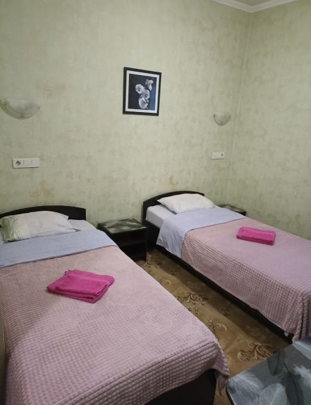Фотография номера гостевого дома Надежда