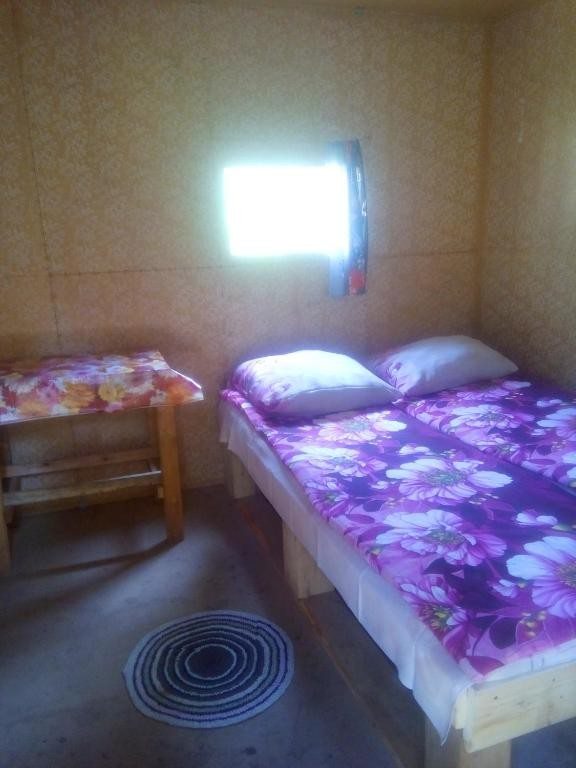 Двухместный (Бюджетный двухместный номер с 1 кроватью или 2 отдельными кроватями) базы отдыха Кедровый берег, Артыбаш