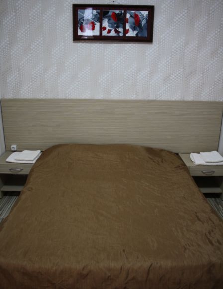 Фотография номера гостиницы ОКА