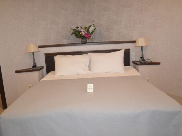 Фотография номера гостиницы Премьер