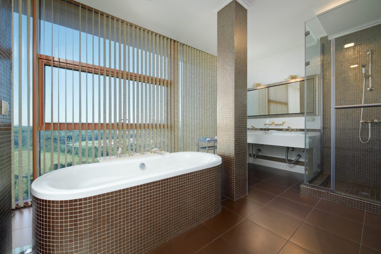 Номер (Апартамент президентский), Санаторий Русь