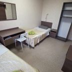 Двухместный (Twin), Меблированные комнаты Орловский дом