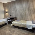 Двухместный (Twin), Меблированные комнаты Орловский дом