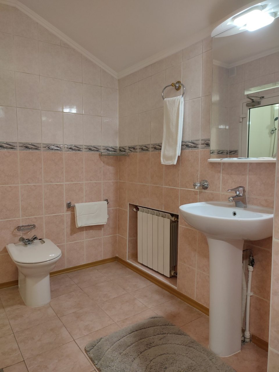 Двухместный (Просторный с 2х сп. кроватью), Гостиница Клубная