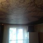 Номер (Кровать в общем 6-местном номере для мужчин и женщин), Хостел Аркаим