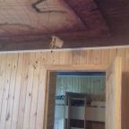 Номер (Кровать в общем 6-местном номере для мужчин и женщин), Хостел Аркаим