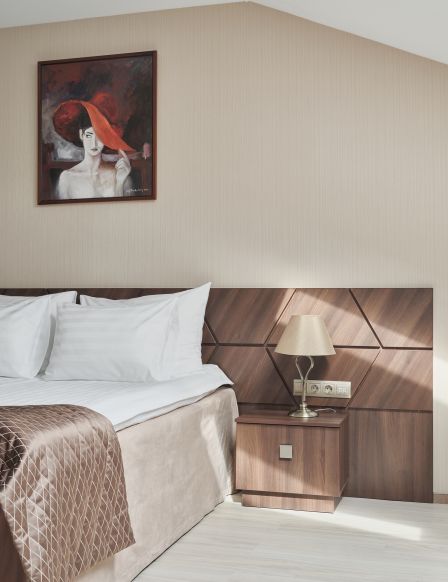 Фотография номера гостиницы Дипломат