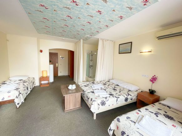 Фотография номера гостиницы Аморе Фаворит