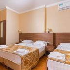 Трехместный (Студия комфорт), Гостевой дом Гранат