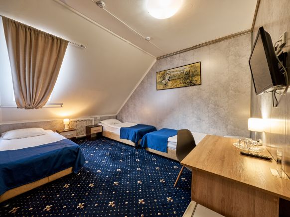 Фотография номера гостиницы Авиатор