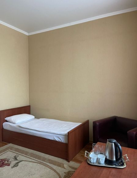 Фотография номера гостиницы Евразия