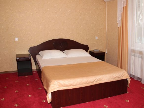 Фотография номера гостиницы Премьер