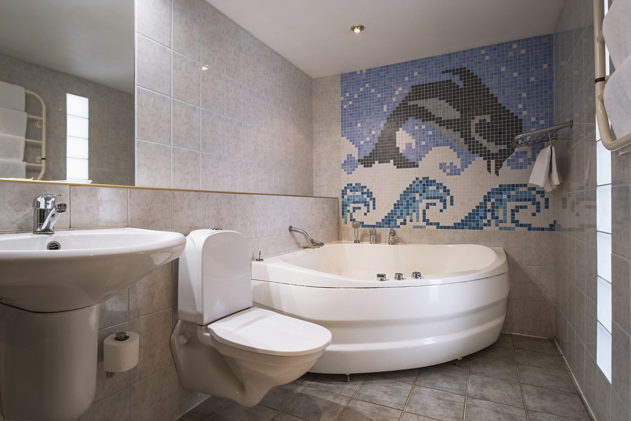 Люкс, Гостиница Дружба