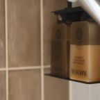 Люкс (Новый Люкс с сауной), Гостиница Дружба