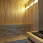 Люкс (Новый Люкс с сауной), Гостиница Дружба