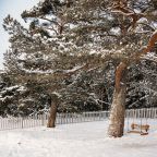Сад, Репино Парк Отель