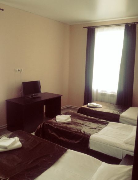 Фотография номера гостиницы Базилик Данков