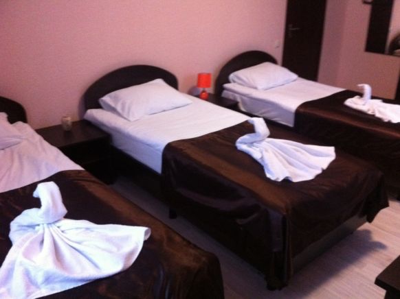 Фотография номера гостиницы Базилик Данков