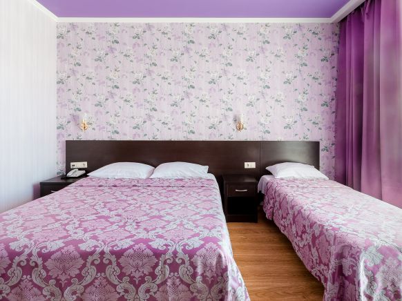 Фотография номера гостиницы Невский