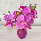 De Luxe (Джуниор с 2 односпальными кроватями), Гостиница Азия