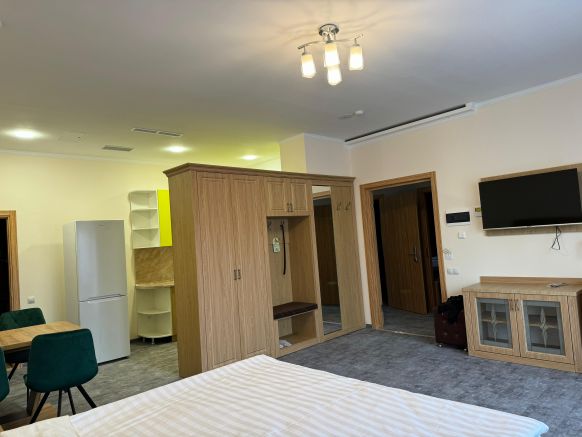 Фотография номера гостиницы Бугарь