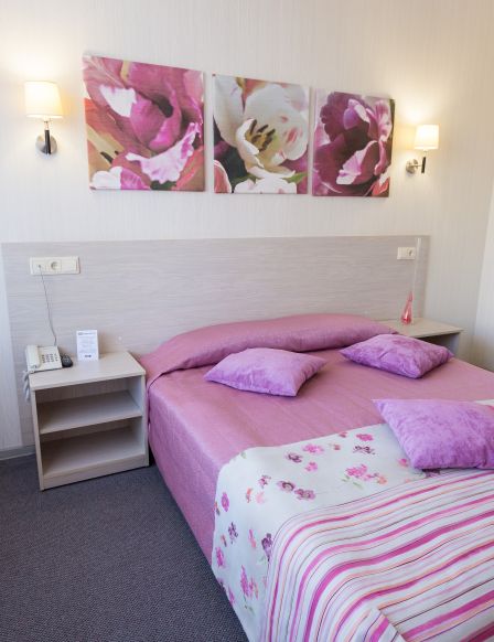 Фотография номера гостиницы Аврора