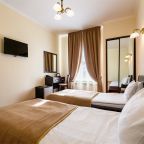 номер с 2 кроватями и видом на город