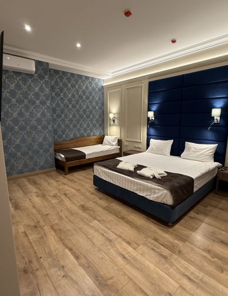 Фотография номера гостиницы Далиси