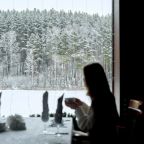 Бар / Ресторан, Парк-Отель Мечта