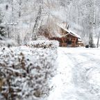 Сад, Парк-Отель Мечта