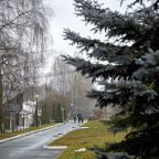 Сад, Парк-Отель Мечта