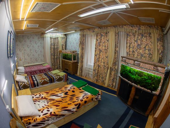 Фотография номера мини отеля Русский север