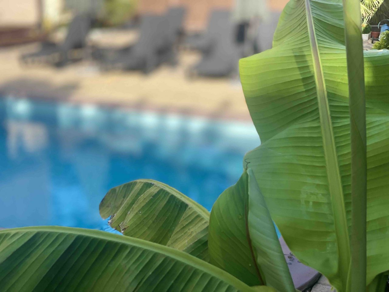 Бассейн, Гостевой дом TAVR