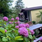 Территория гостевого дома