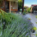 Территория гостевого дома