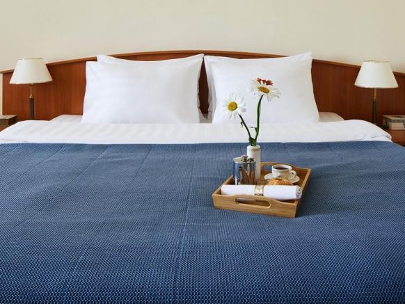 Фотография номера гостиницы Гамма Измайлово