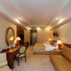 Двухместный (Улучшенный с 1 кроватью 4*), Волга Премиум Отель