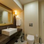 Двухместный (Улучшенный с 1 кроватью 4*), Волга Премиум Отель