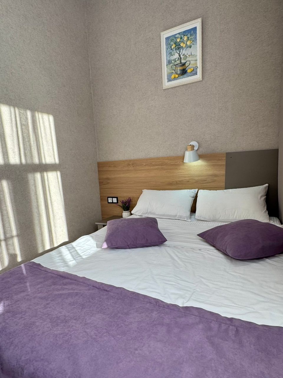 Одноместный (Стандарт плюс одноместный с большой кроватью), Отель Высотник