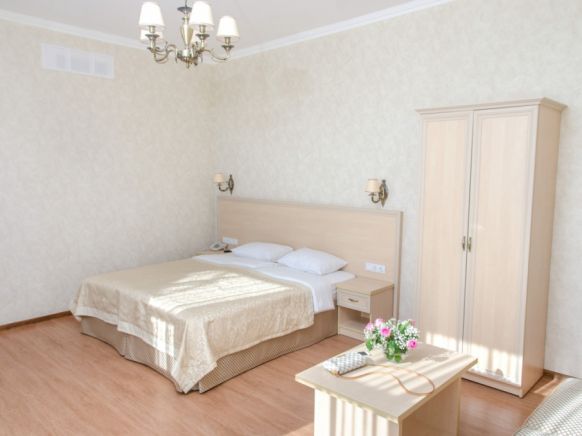 Фотография номера гостиницы Либерти Флай