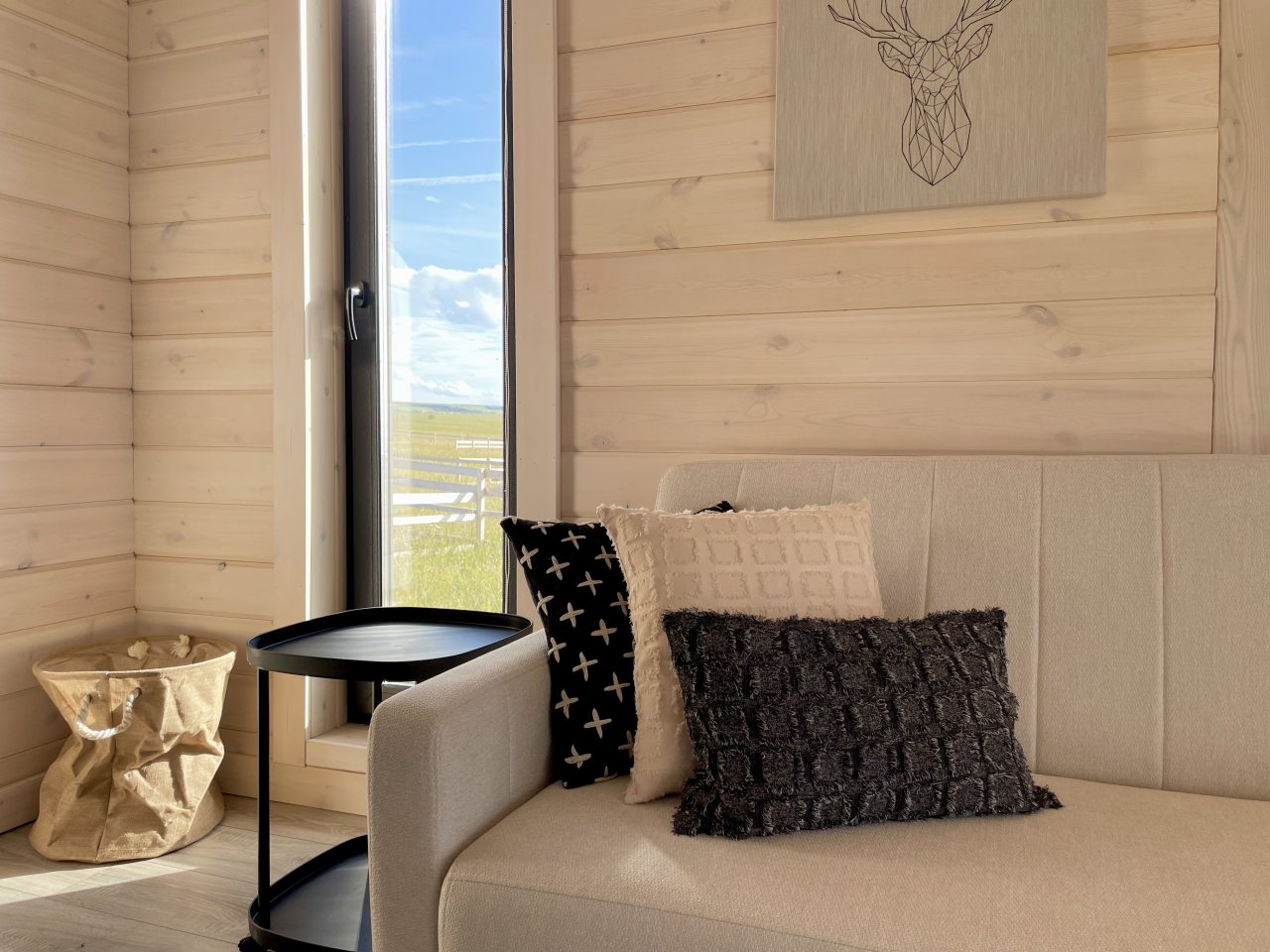 Коттедж (Дачный дом 6-ти местный), База отдыха Большой Плёс