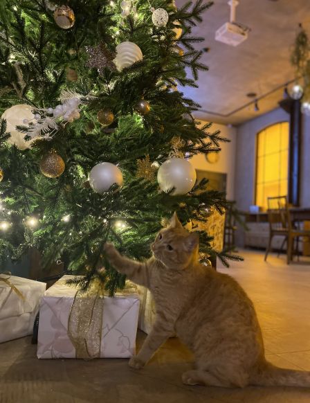 Отель Адрес