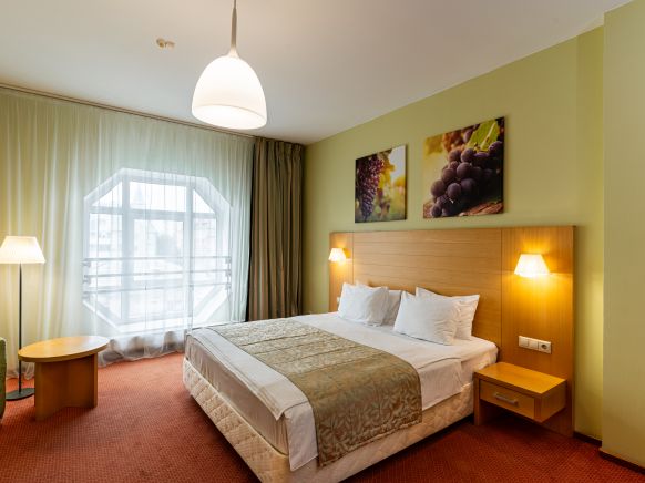 Фотография номера гостиницы Евразия